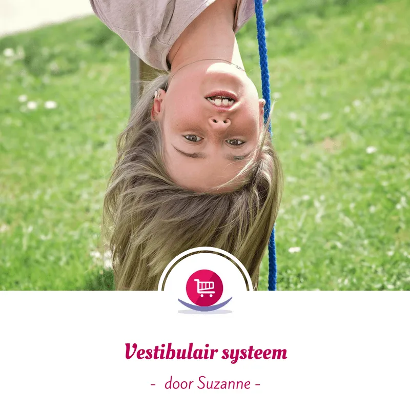 vestibulaire systeem