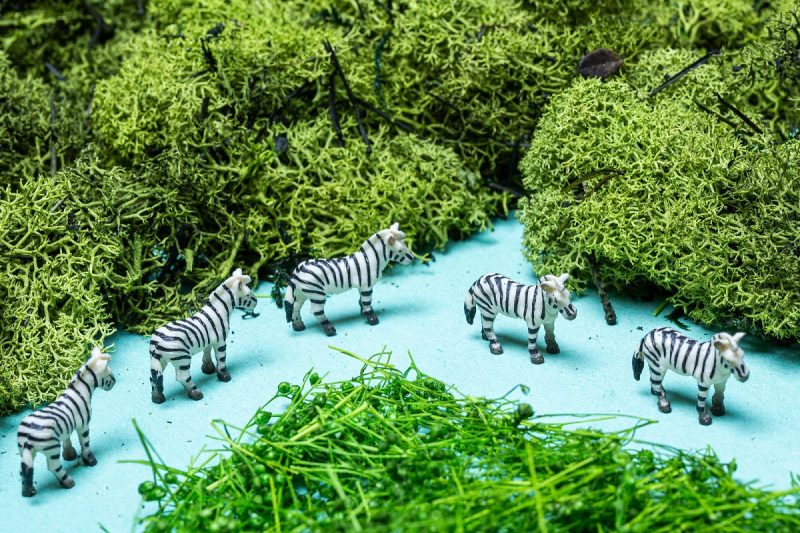 De sensorische fles met jungle dieren nodigt kinderen uit kennis te maken met het oerwoud. Ideaal om kinderen te prikkelen, maar kan zeker ook je kind helpen om te ontprikkelen en tot rust te komen.