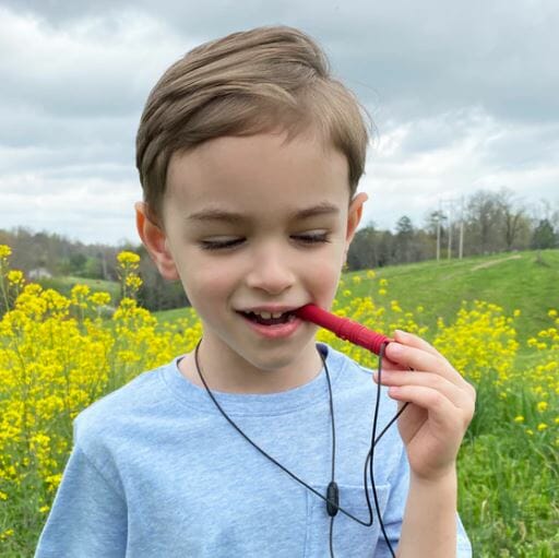 bijtketting kopen van ark therapeutic? bekijk ons aanbod en vraag gerust om advies. de sabel is een fijne kauwketting voor kinderen die op kiezen kauwen
