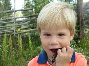 Vermoed je dat je kind een stevige kauwer is? Bijt je kind door de sterkste bijtkettingen heen? Lees dan zeker onze ervaring en tips.